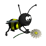 bee